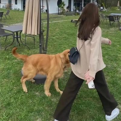 故地重访